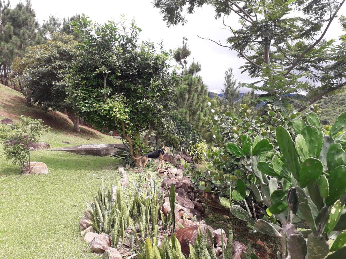 Hawk'S Nest Bed & Breakfast La Laguna de San Carlos Екстер'єр фото