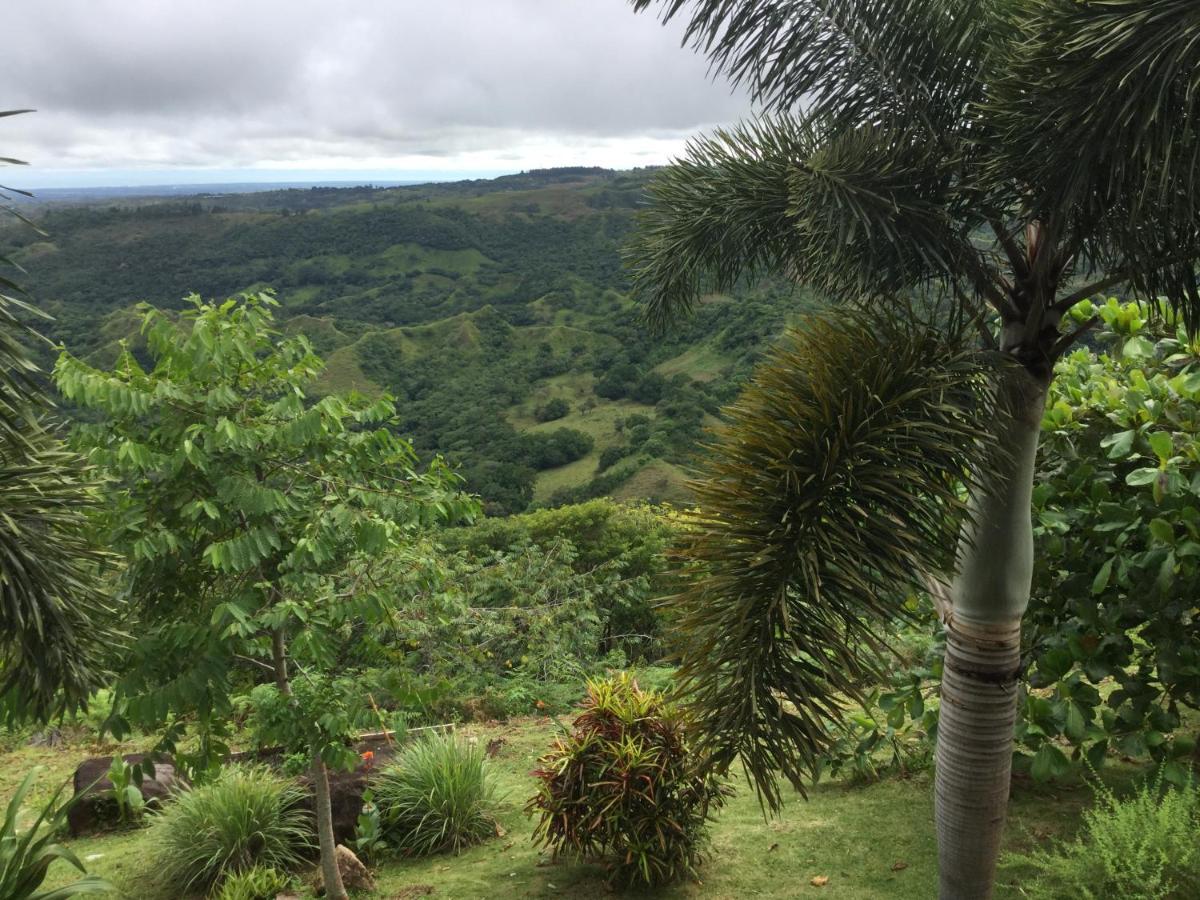 Hawk'S Nest Bed & Breakfast La Laguna de San Carlos Екстер'єр фото