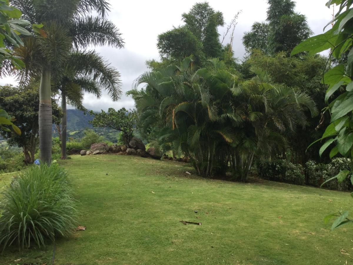Hawk'S Nest Bed & Breakfast La Laguna de San Carlos Екстер'єр фото