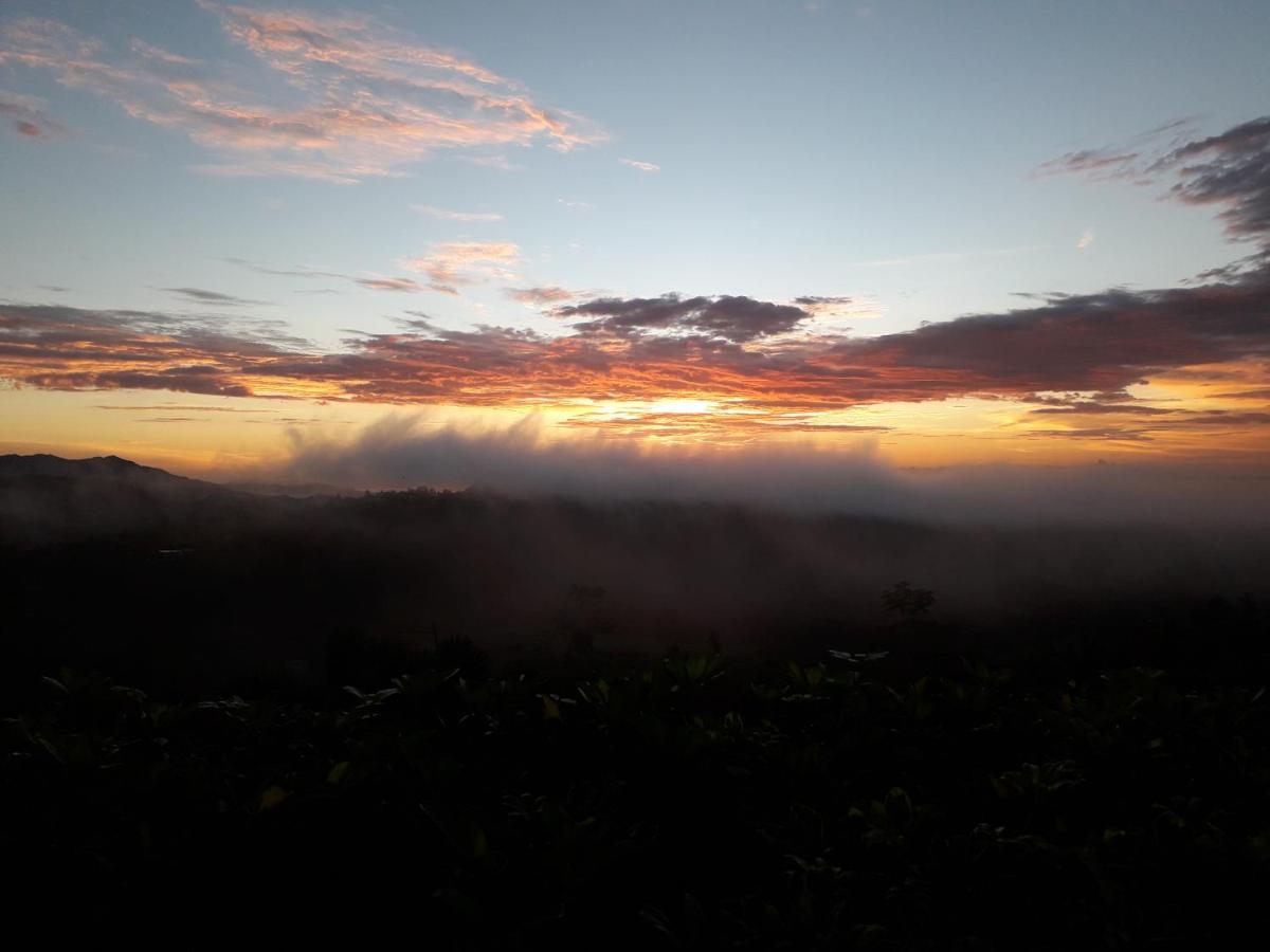Hawk'S Nest Bed & Breakfast La Laguna de San Carlos Екстер'єр фото