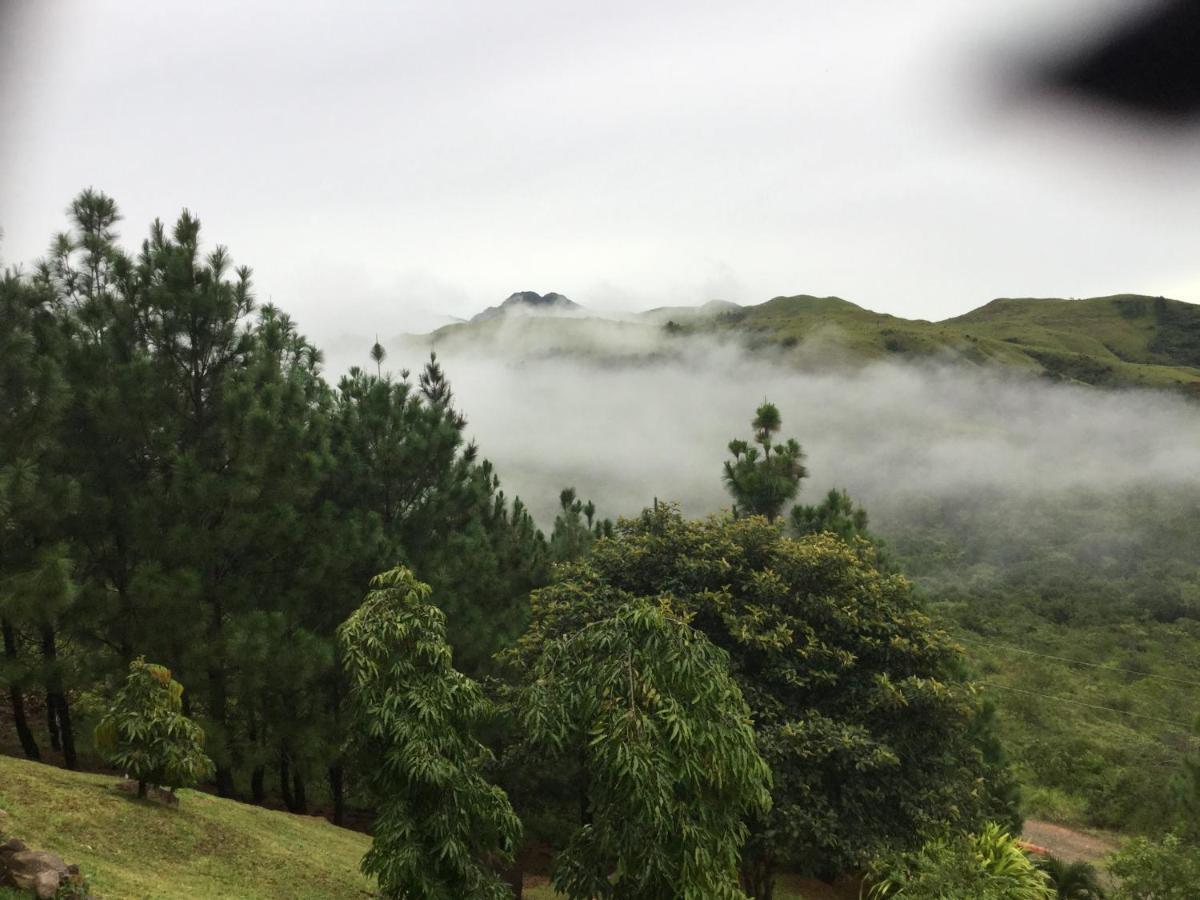 Hawk'S Nest Bed & Breakfast La Laguna de San Carlos Екстер'єр фото