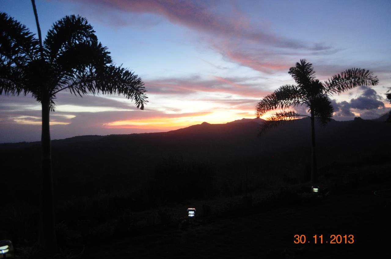 Hawk'S Nest Bed & Breakfast La Laguna de San Carlos Екстер'єр фото