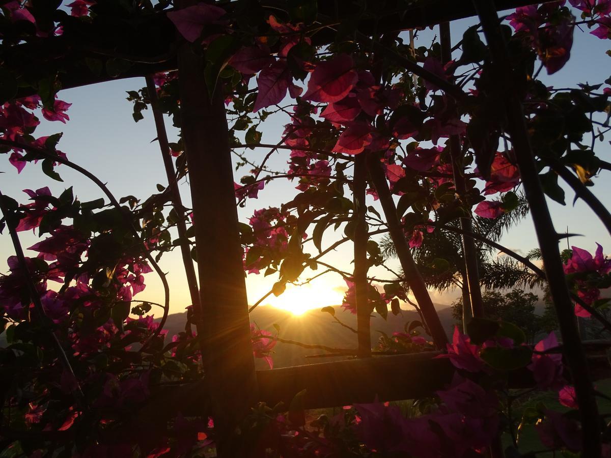 Hawk'S Nest Bed & Breakfast La Laguna de San Carlos Екстер'єр фото