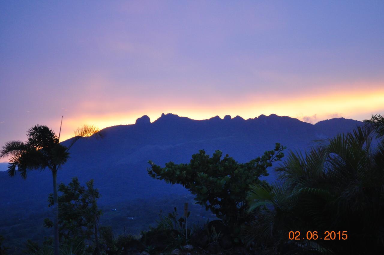 Hawk'S Nest Bed & Breakfast La Laguna de San Carlos Екстер'єр фото