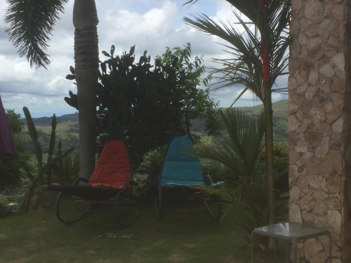 Hawk'S Nest Bed & Breakfast La Laguna de San Carlos Екстер'єр фото