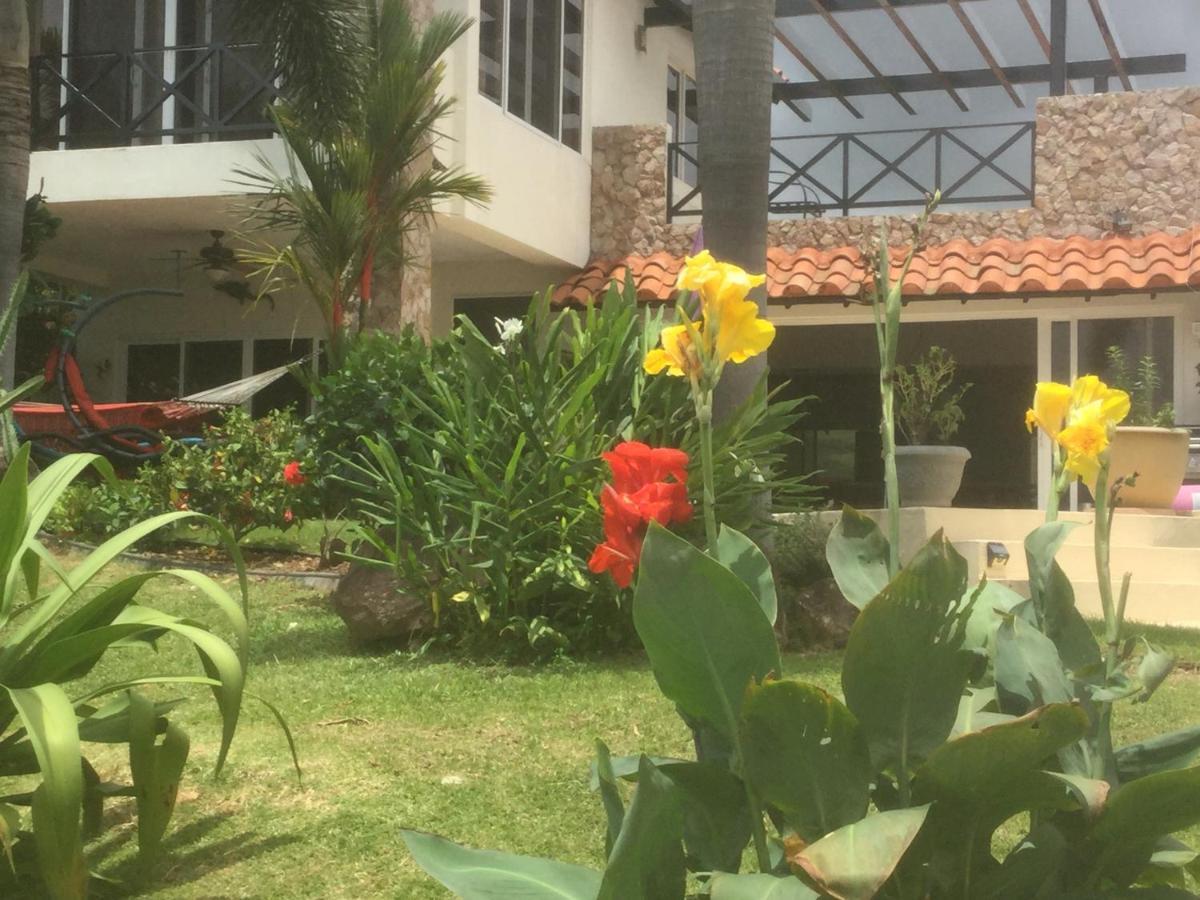 Hawk'S Nest Bed & Breakfast La Laguna de San Carlos Екстер'єр фото